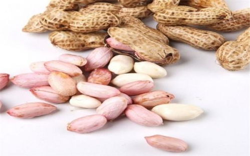生花生與熟花生 營養(yǎng)價(jià)值大不同，你知道嗎？